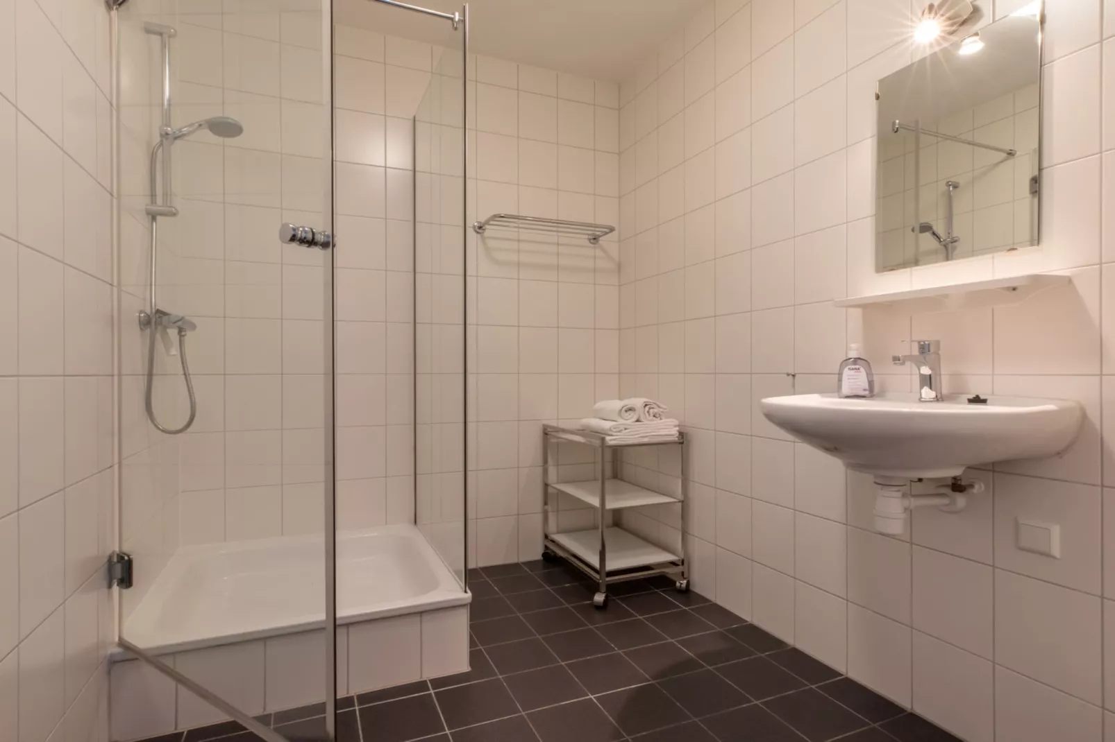 Vakantiewoning 't Zoete Licht Residenz - Willibrordusplein 28 C  Zoutelande-Badkamer