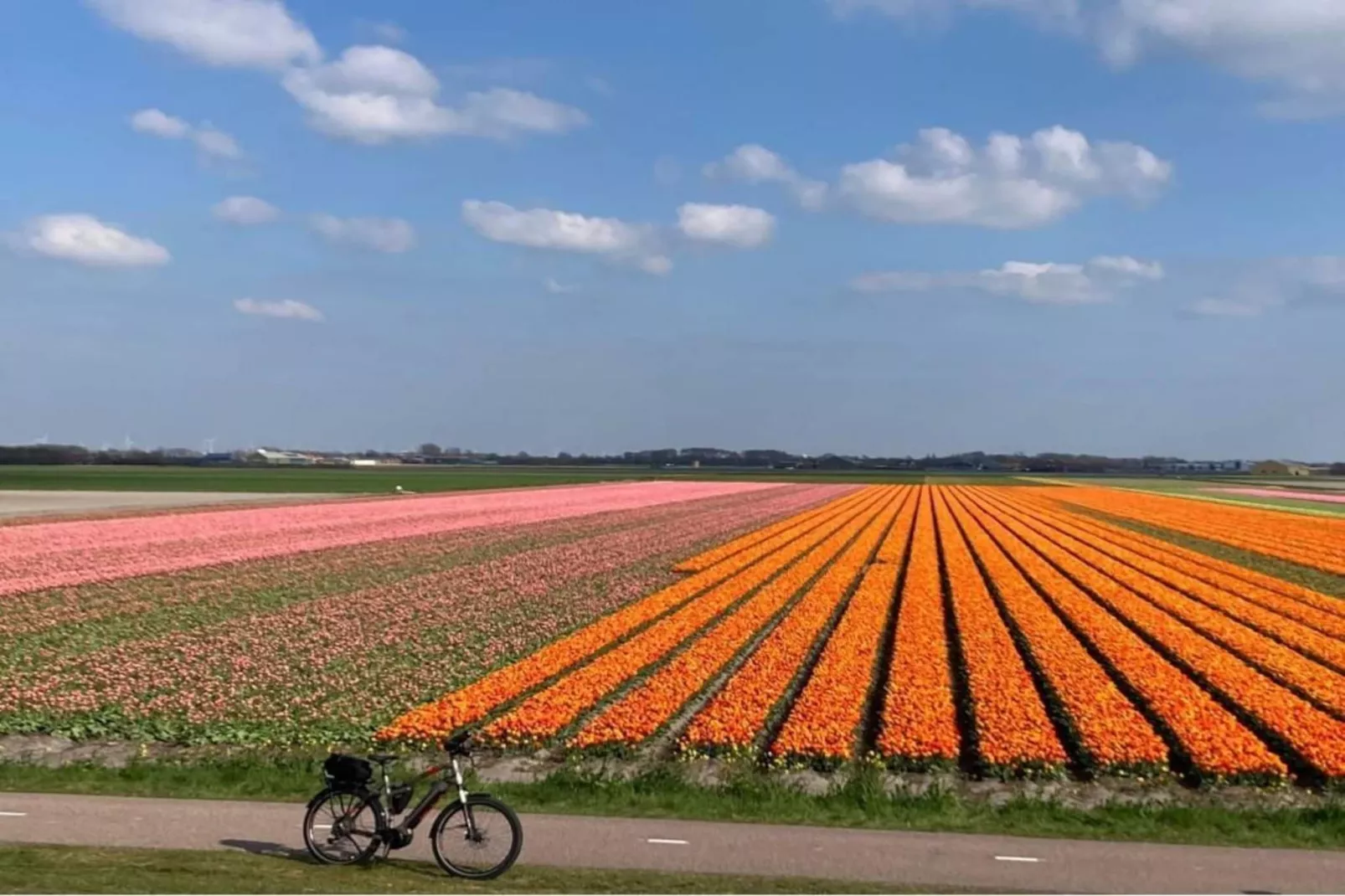 Belkmerduinen 05-Gebieden zomer 5km