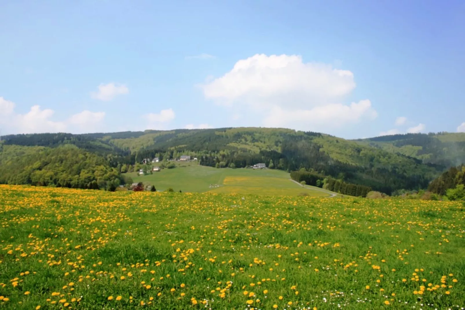 Haus am Iberg-Gebieden zomer 5km