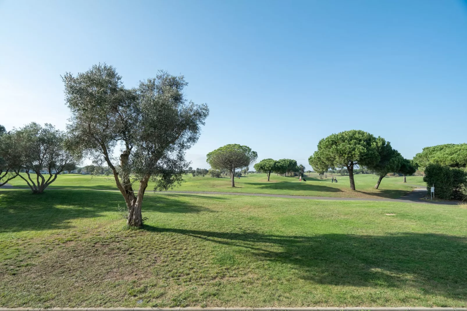 PALMYRA GOLF N°112 - 2P4-Buitenlucht