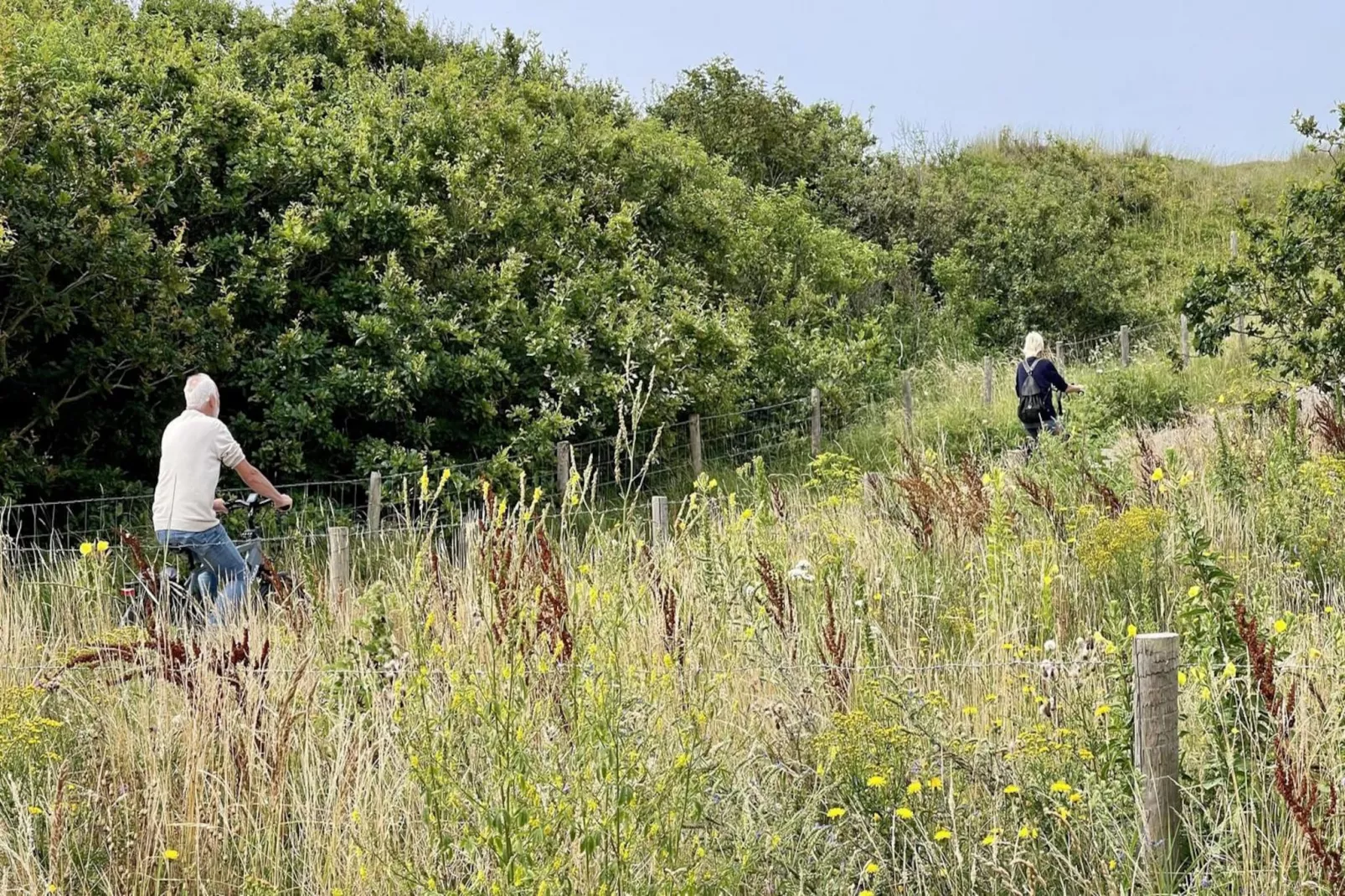 De Schelp 12-Gebieden zomer 5km