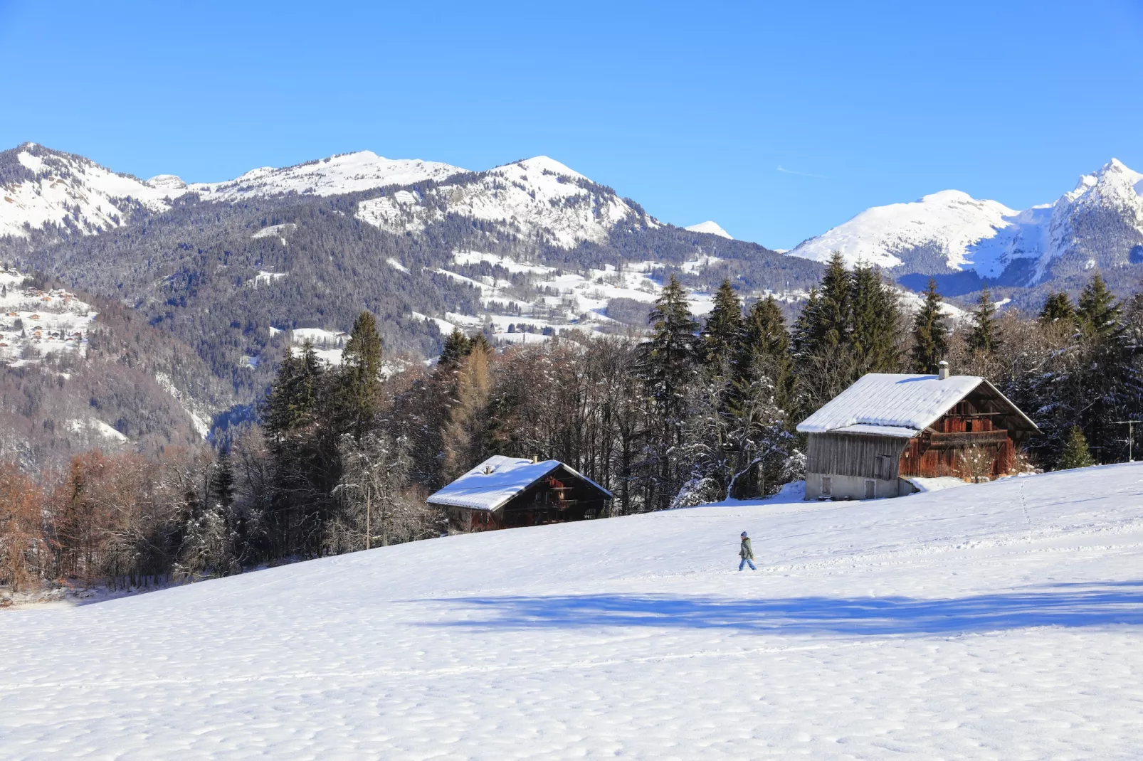 Les Sitelles N°11 - 3P6-Gebied winter 5km