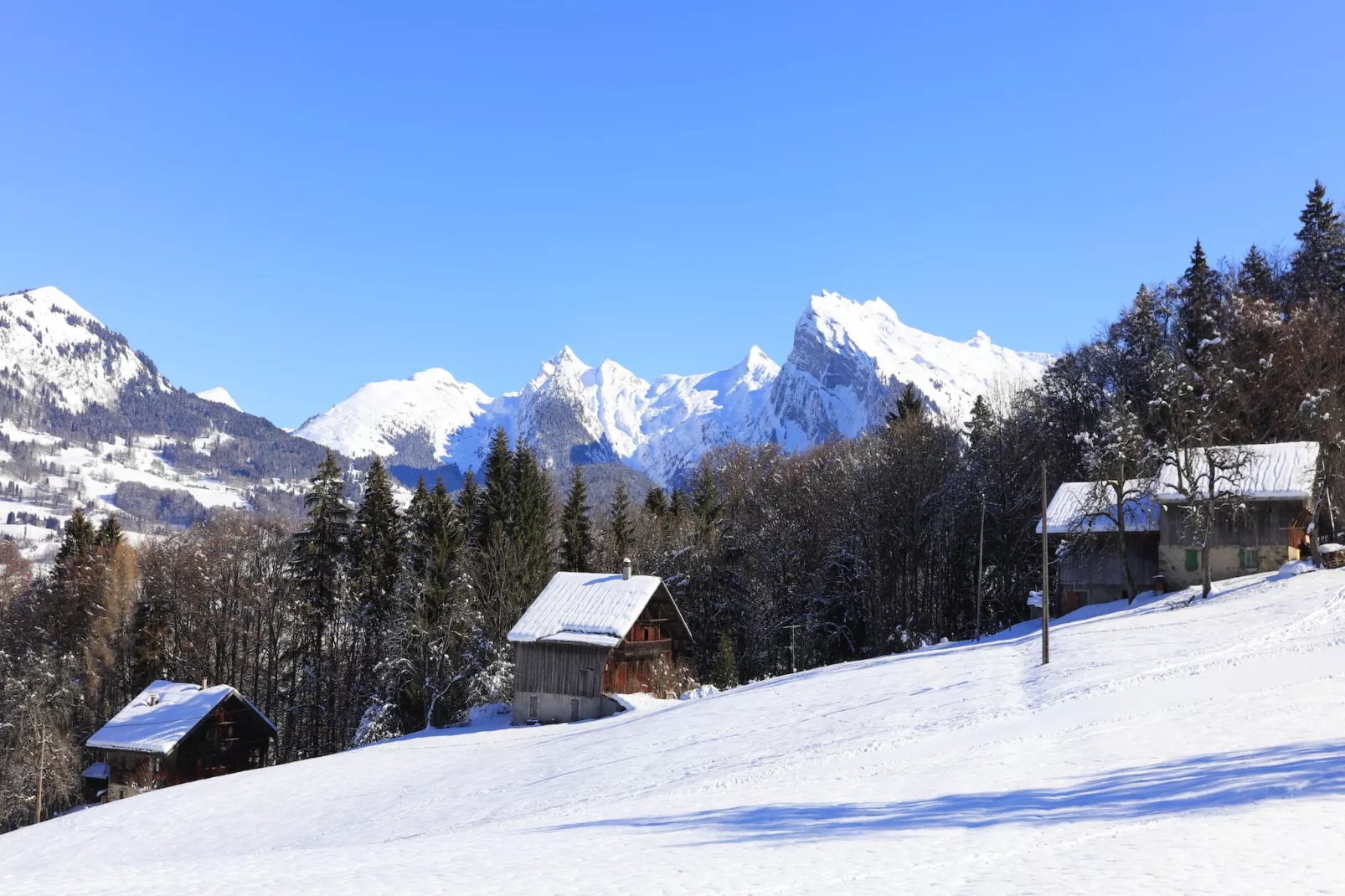 Les Sitelles N°11 - 3P6-Gebied winter 5km