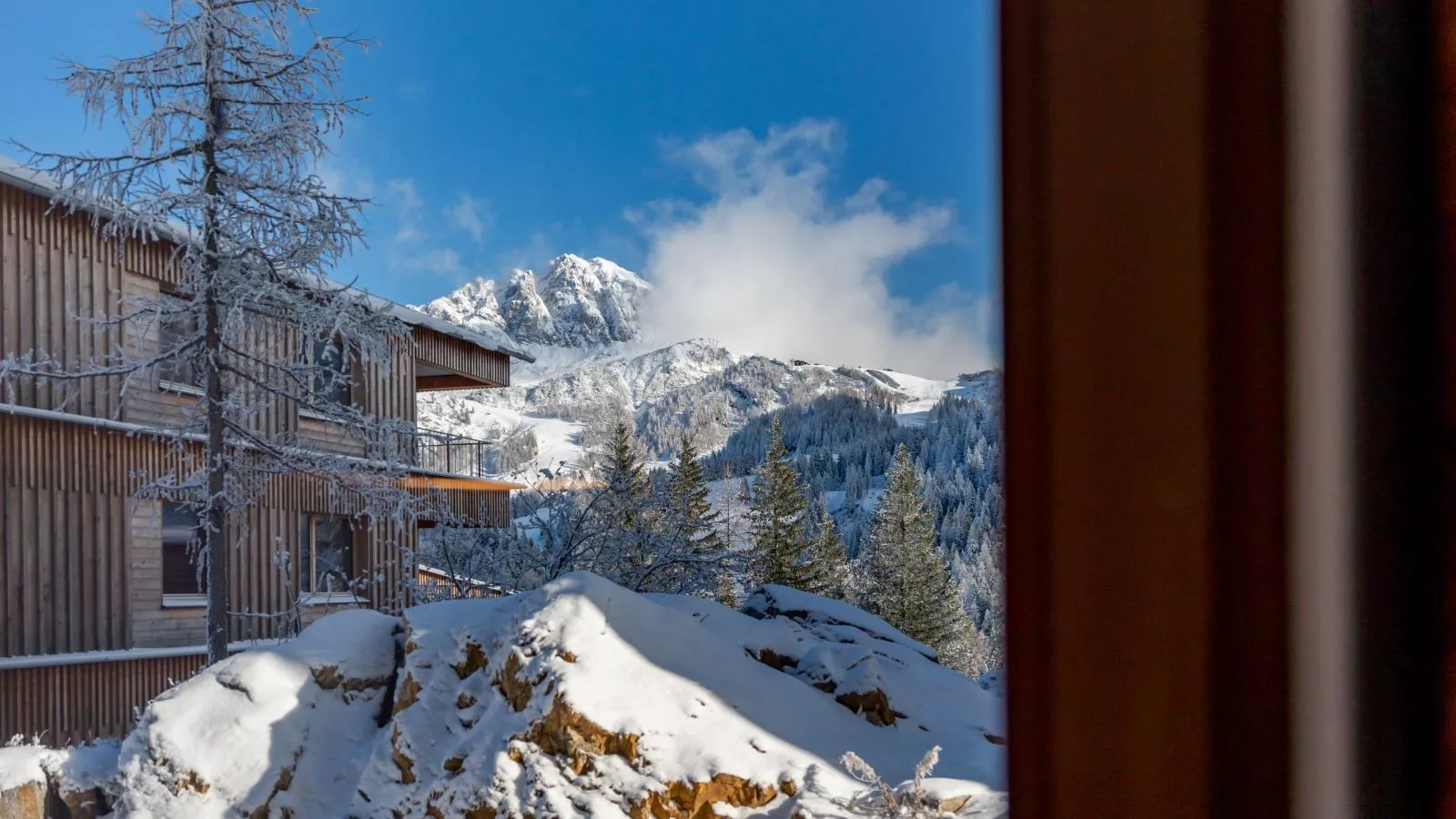 Zirbennest Sonnenalpe Nassfeld-Uitzicht winter