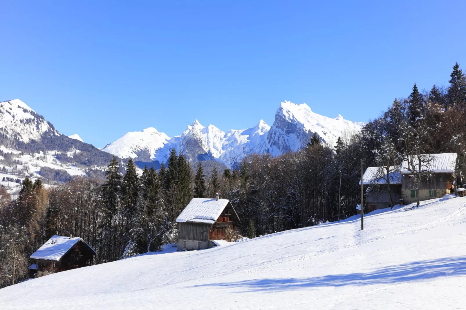 Grand Morillon N°104 - ST4-Buitenlucht