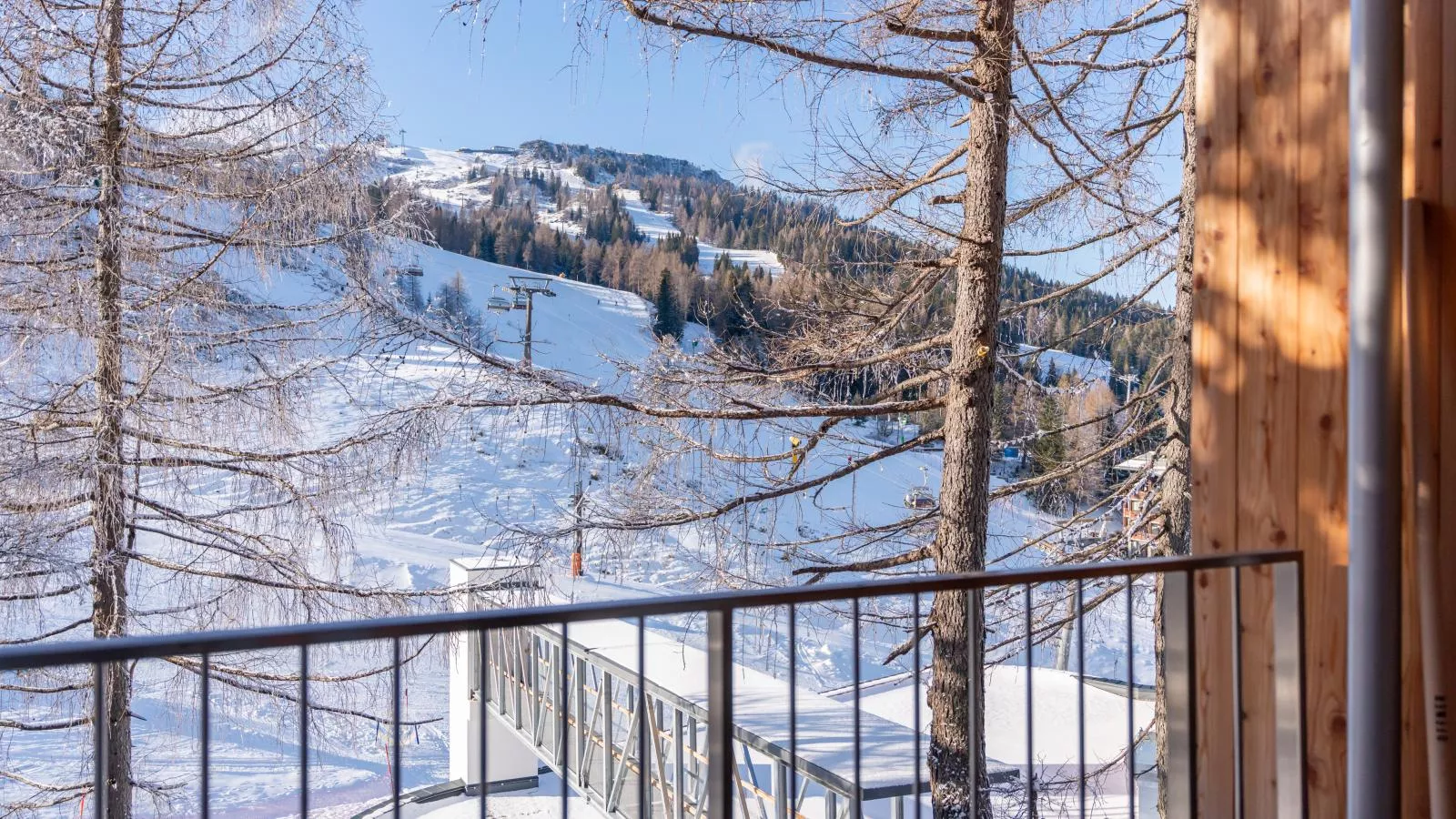 Sonnenalpe Nassfeld Bergblume-Uitzicht winter