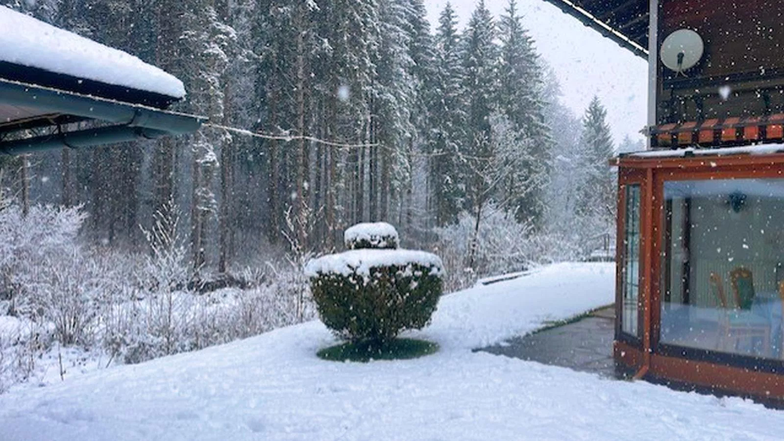 Landhaus am Waldrand-Tuin winter