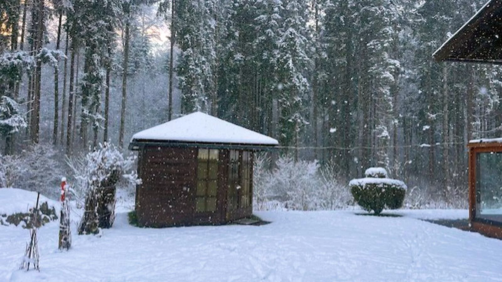 Landhaus am Waldrand-Tuin winter