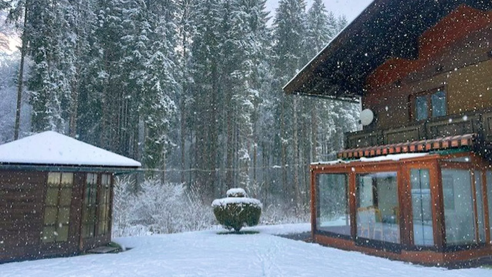 Landhaus am Waldrand-Tuin winter