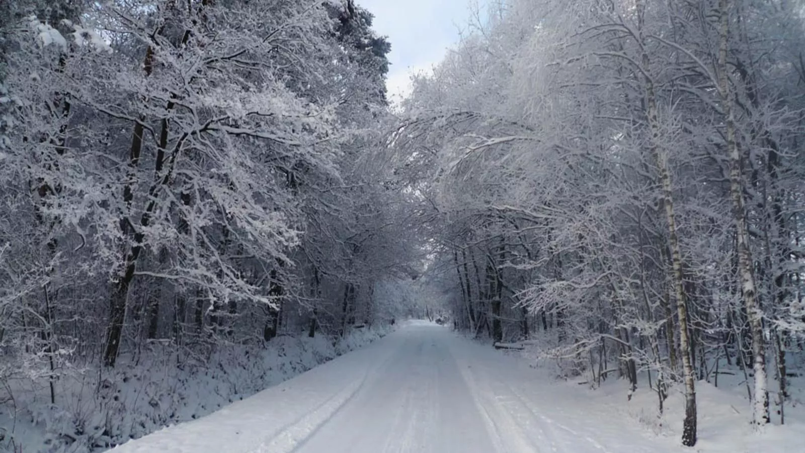 Design Lodge Twente-Gebied winter 1km