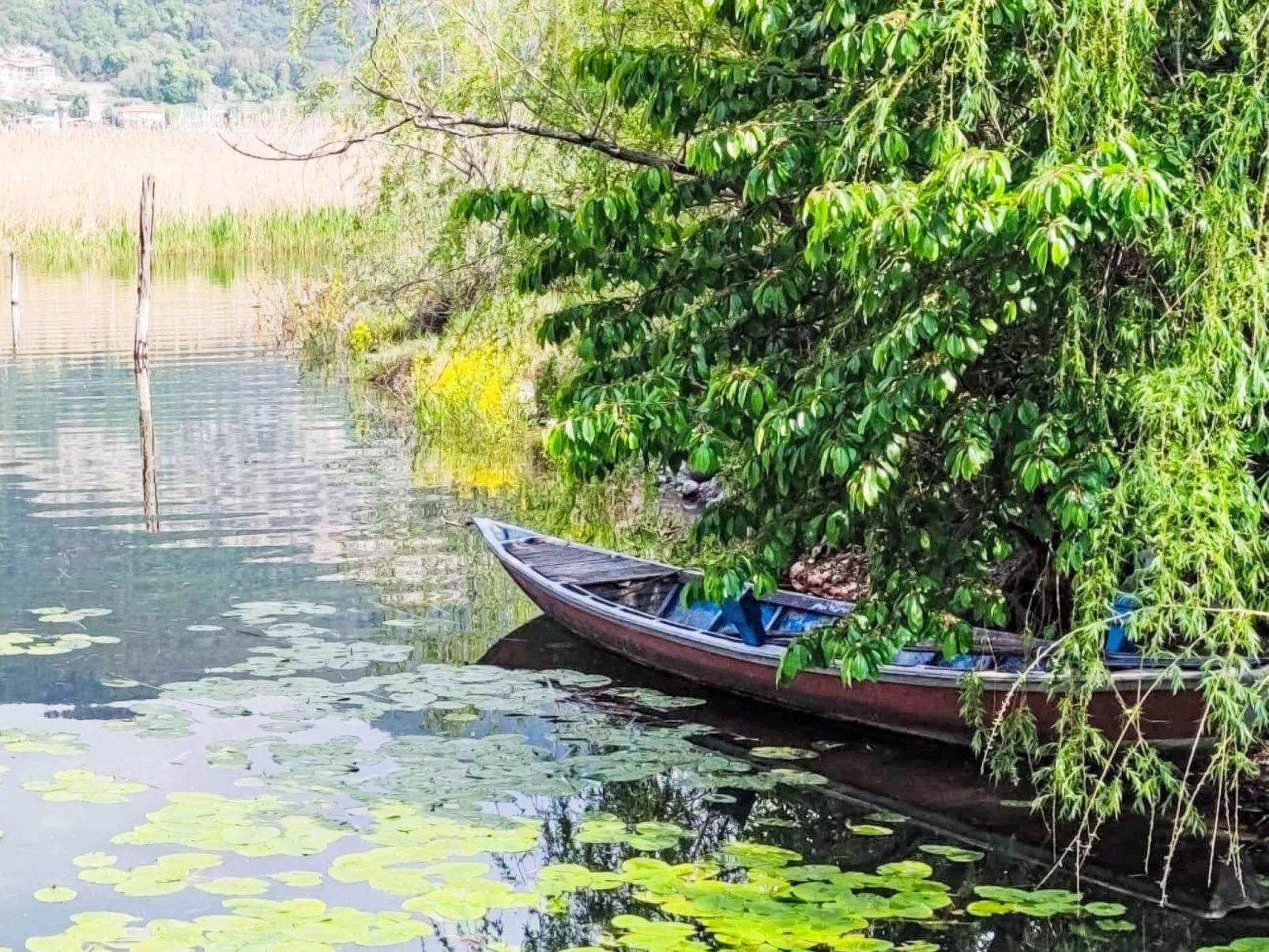 La Casetta sul Lago-Buiten