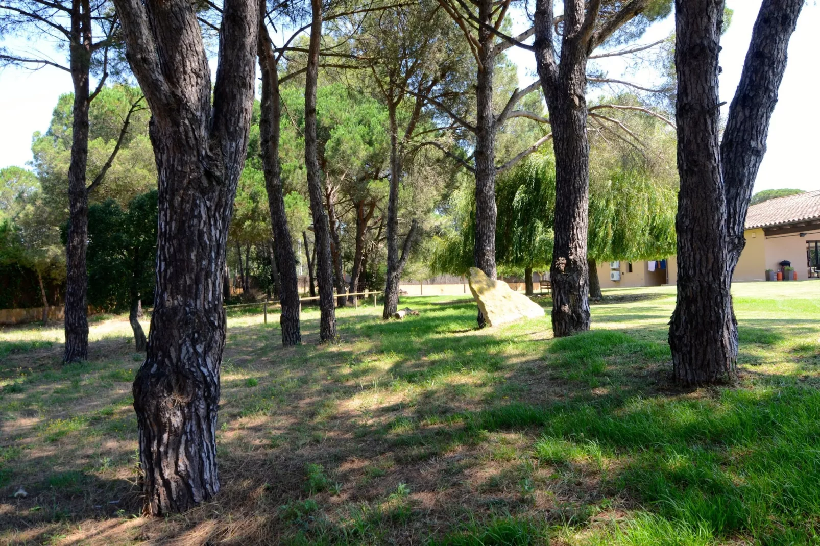 VILLA BRUGUERES BEGUR-Tuinen zomer