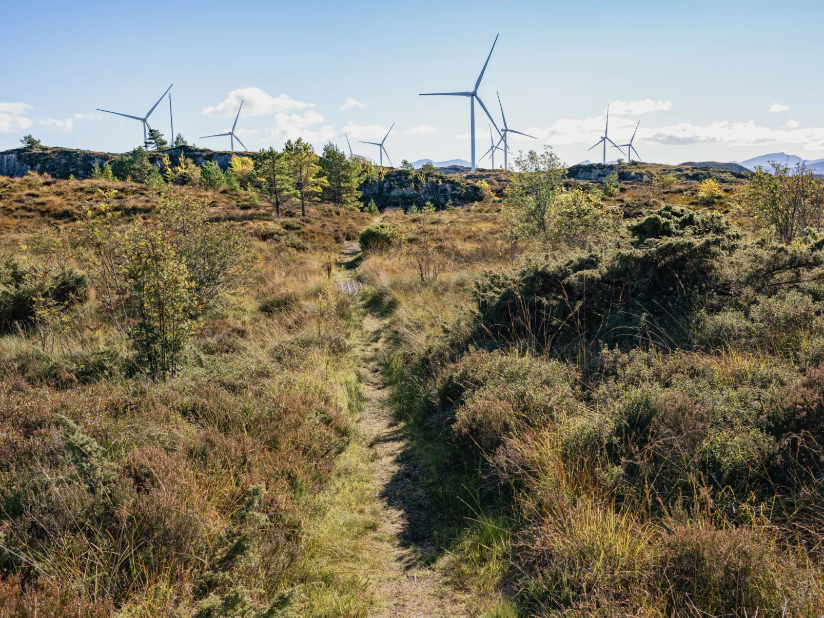 Sjøbuvågen-Buiten