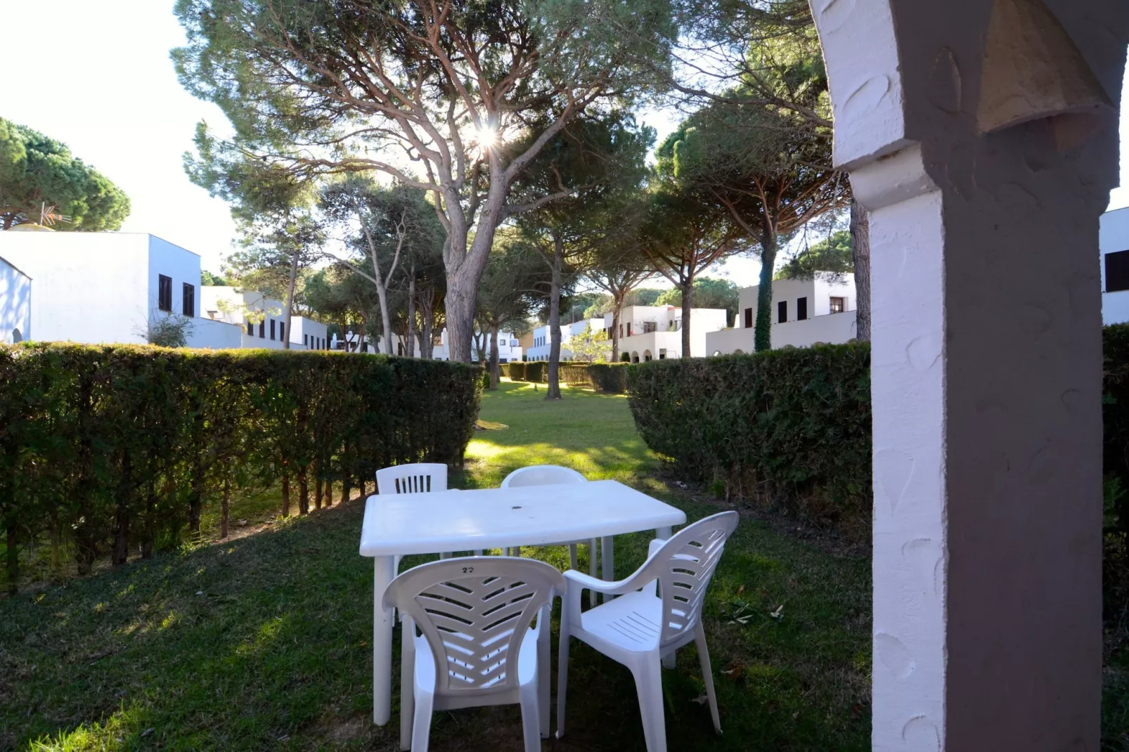 PIVERD DEL GOLF 22-Terras