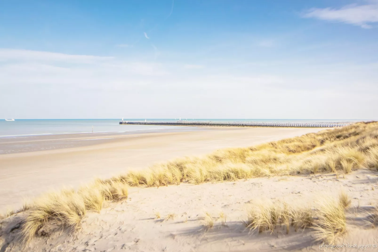 LECTUS I 3/0202GAR-Gebieden zomer 5km