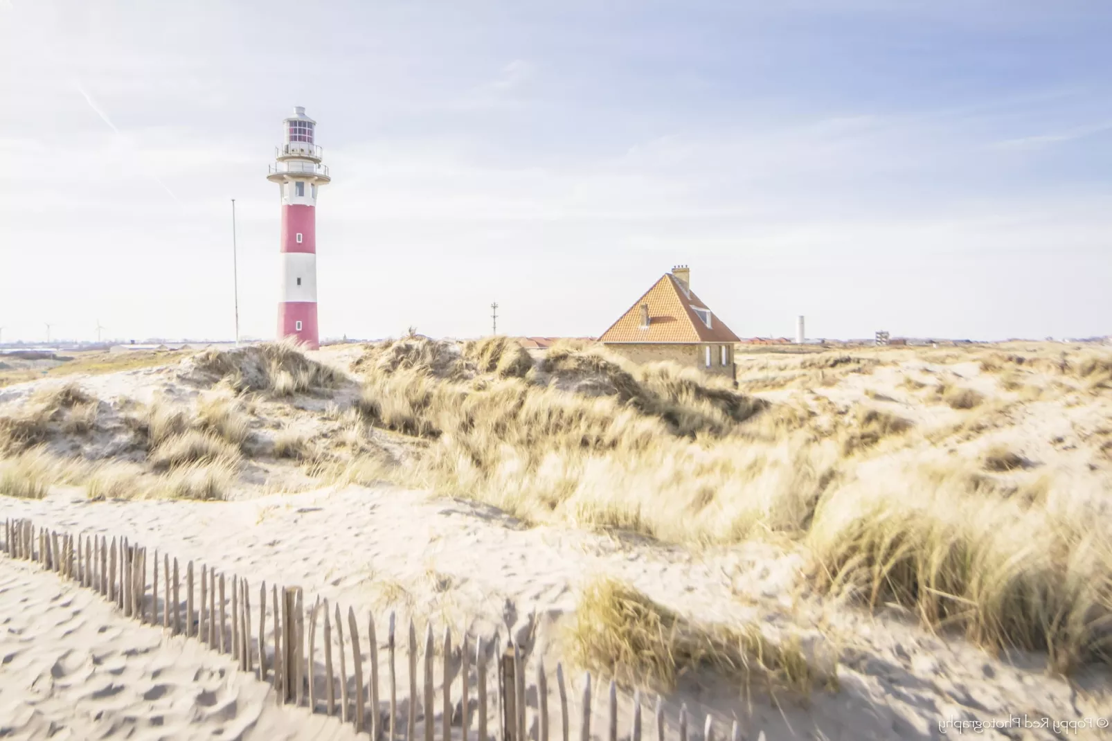 LECTUS I 3/0202GAR-Gebieden zomer 5km