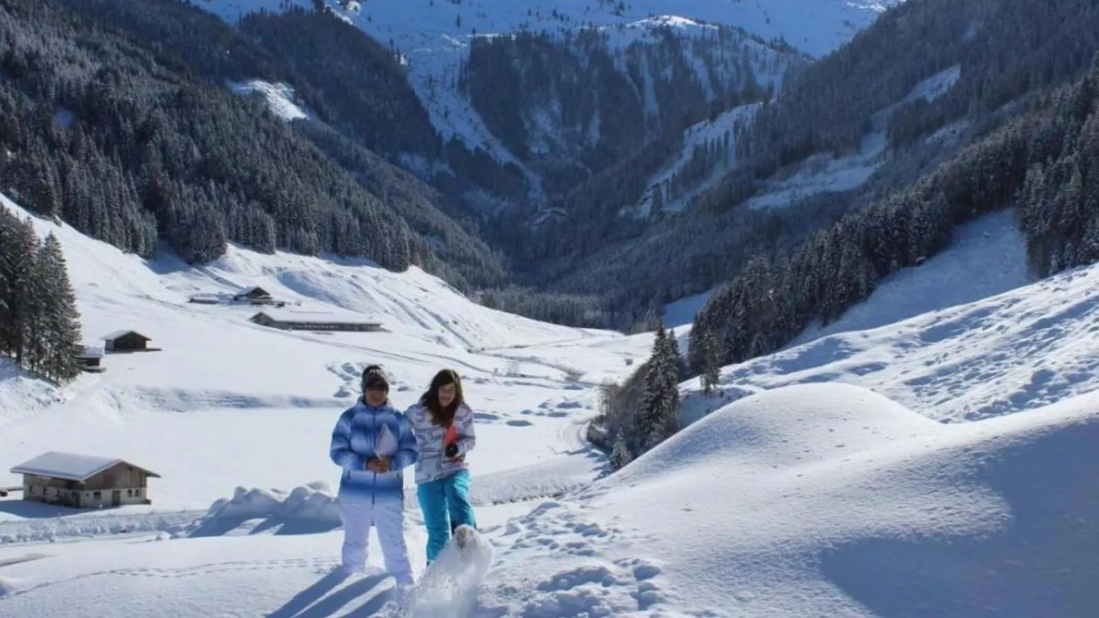 Heualm-Gebied winter 1km