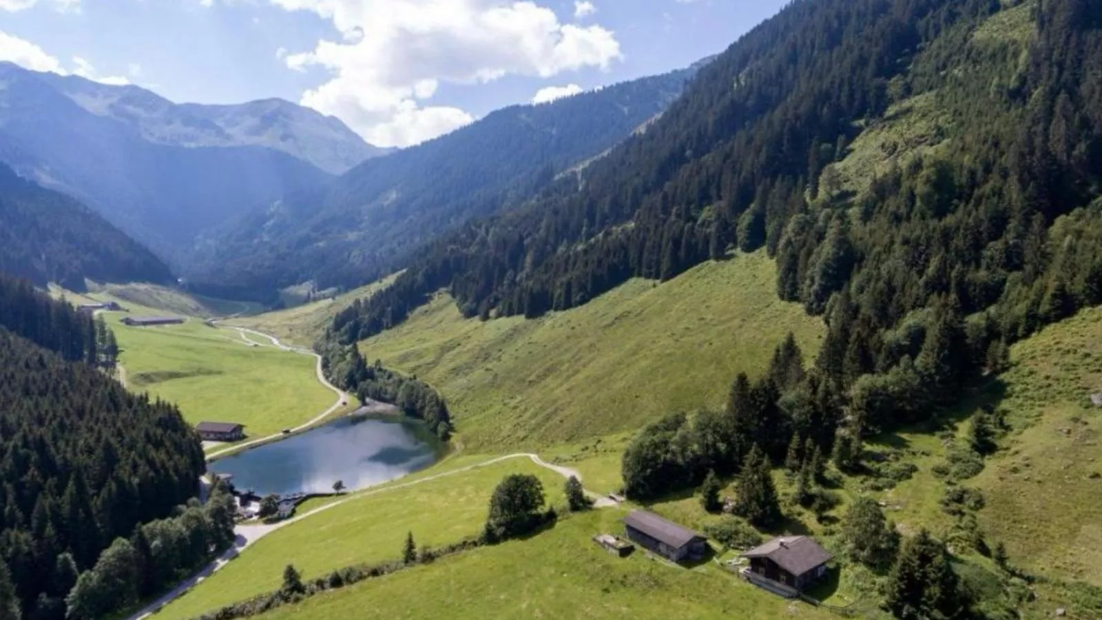 Heualm-Gebieden zomer 1km