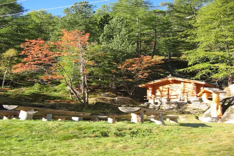 Haus Alpenstern Wohnung Distel-Gebieden zomer 20km