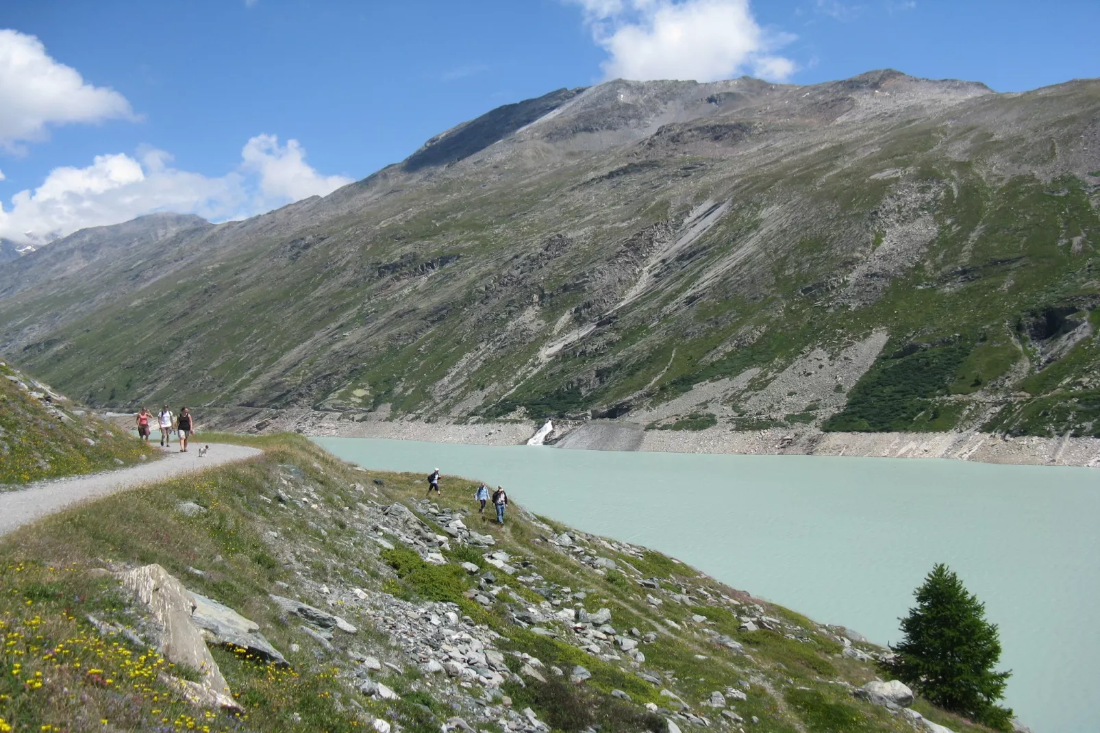 Haus Alpenstern Wohnung Distel-Gebieden zomer 20km