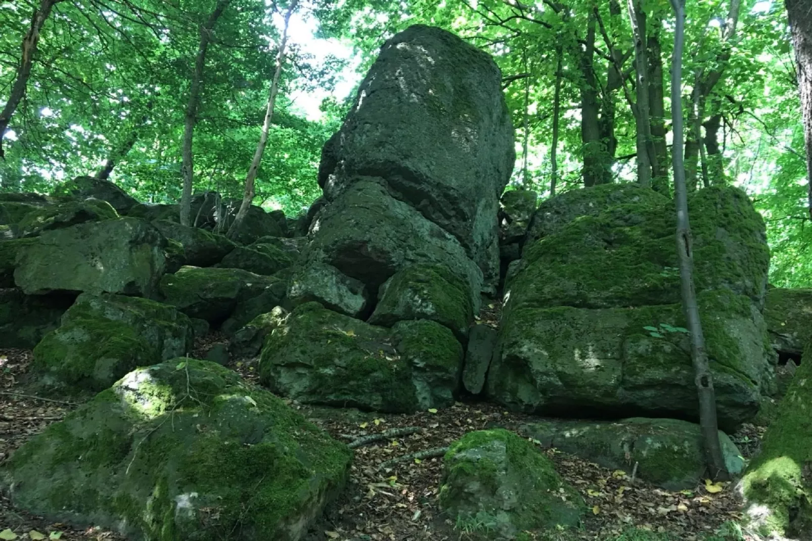 Wanderfreund-Gebieden zomer 5km