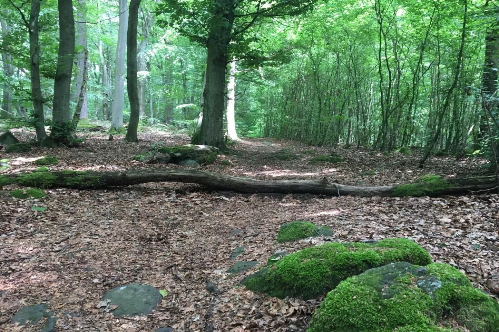 Wanderfreund-Gebieden zomer 5km