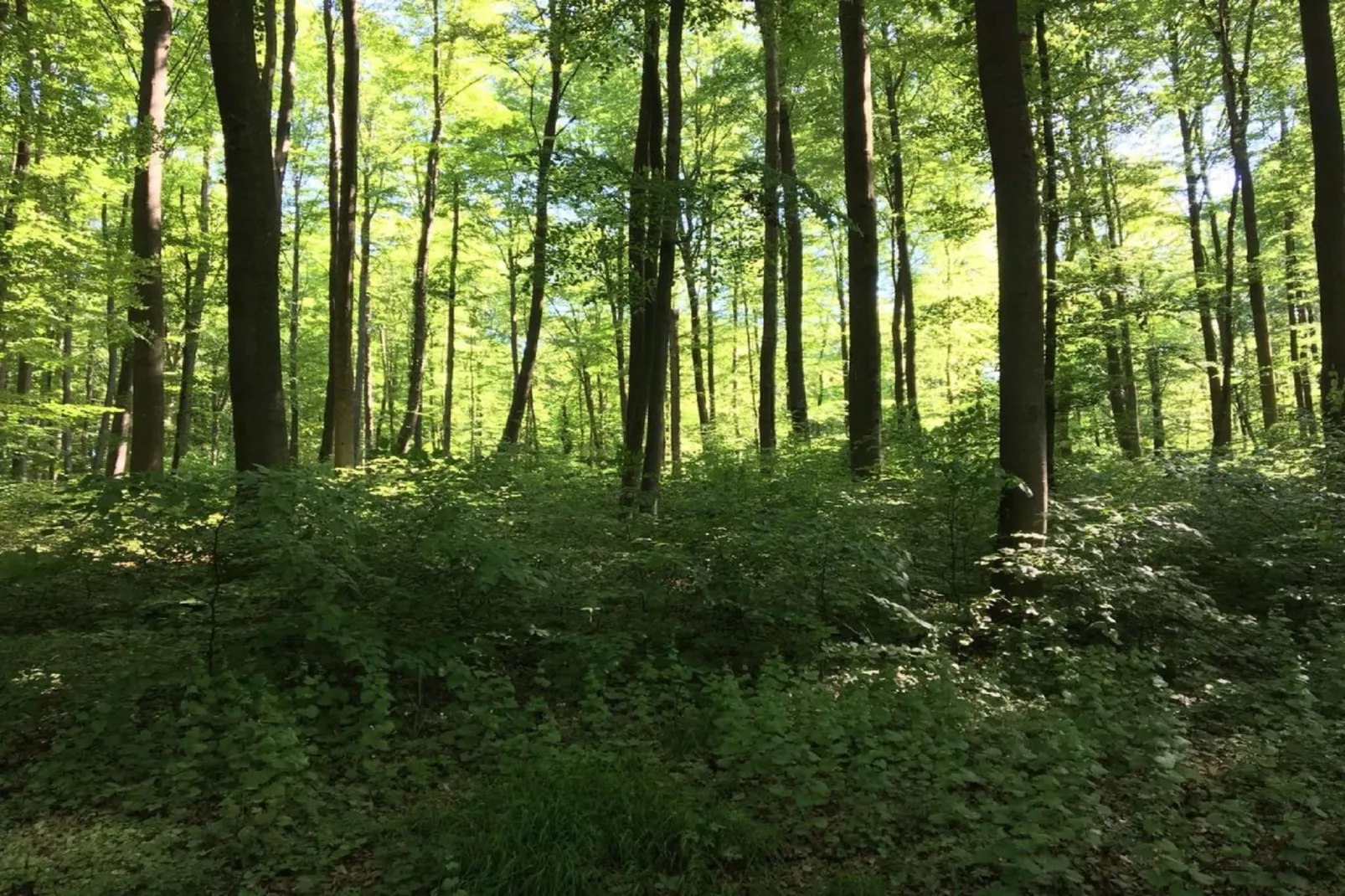 Wanderfreund-Gebieden zomer 5km