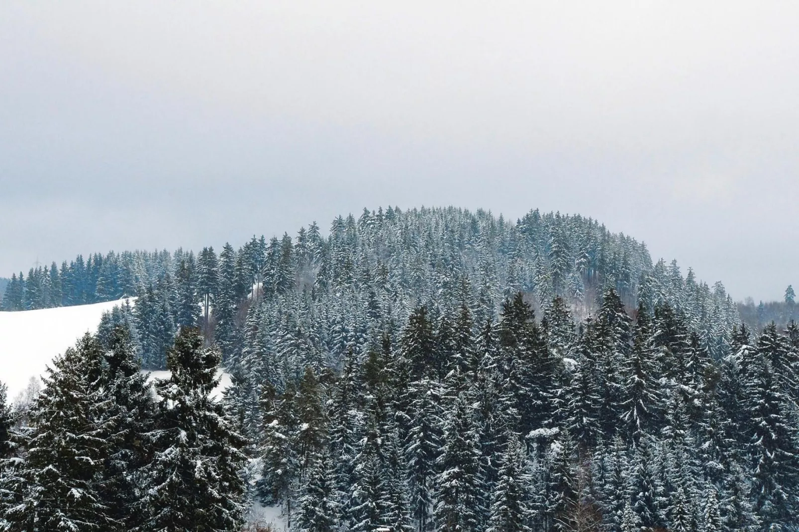 Hirschblick/Wohnung 6 2 Pers-Uitzicht winter