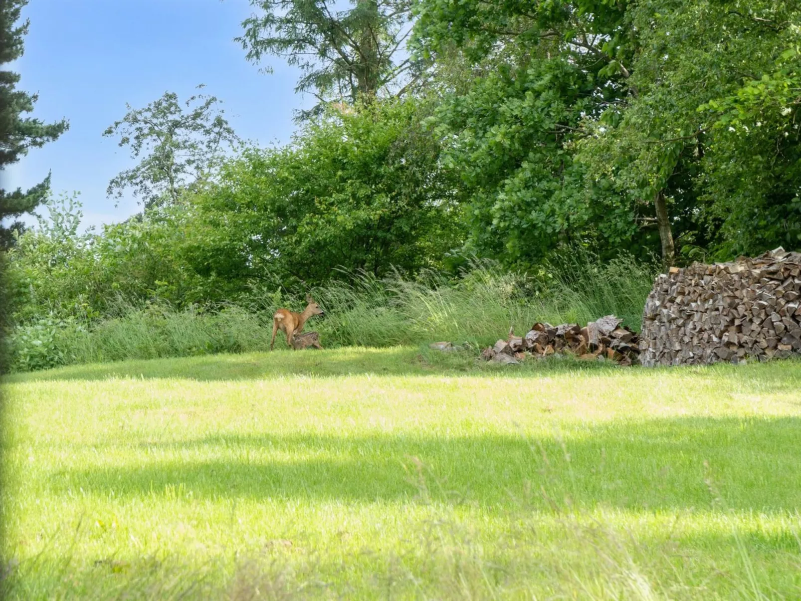 "Armelle" - 550m from the sea-Buiten