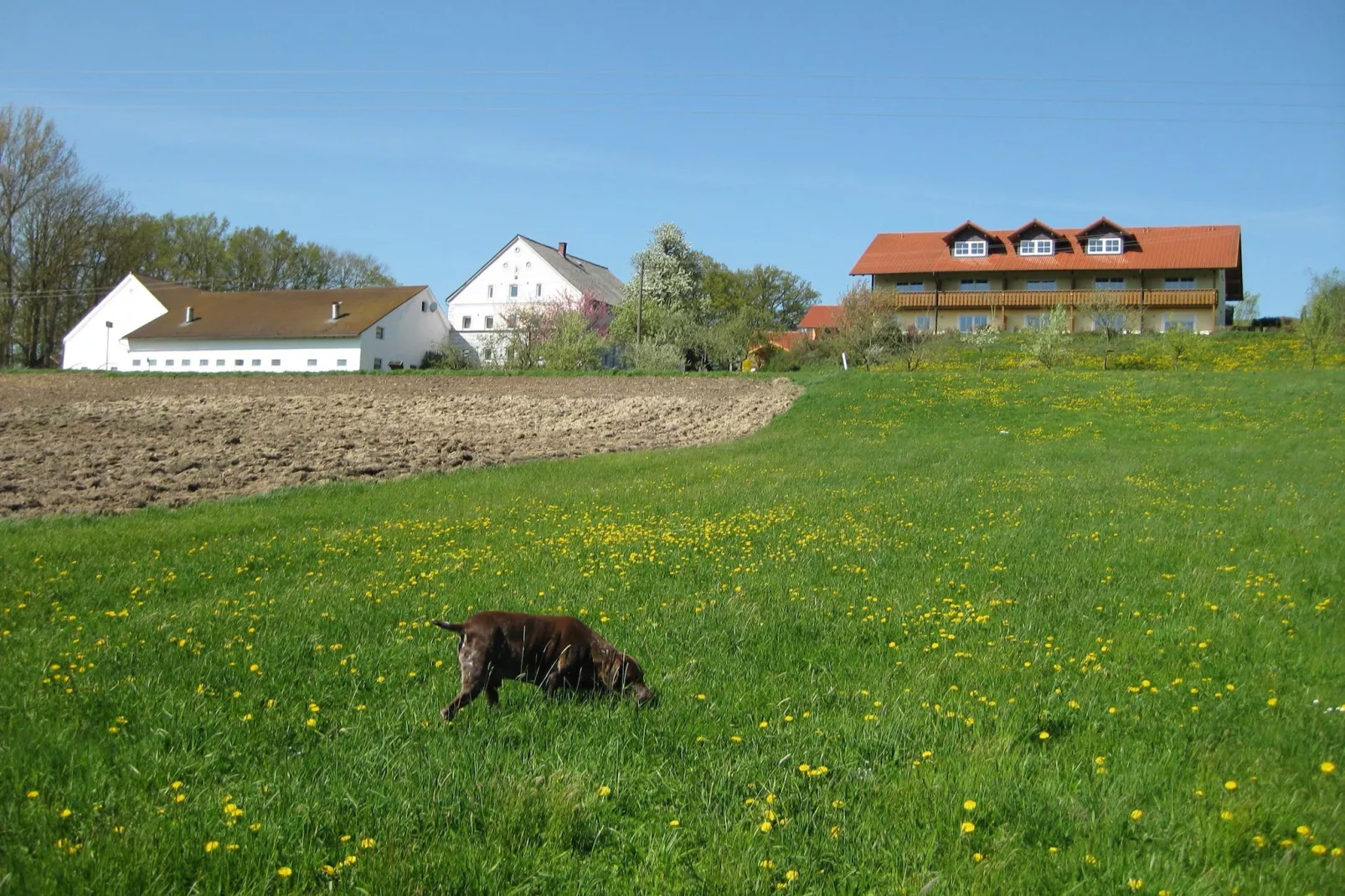 Am Ferienhof-Overloop