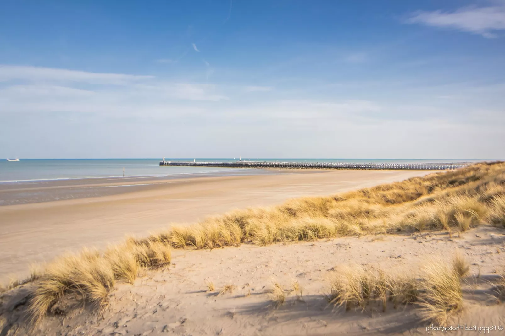 SEASIGHT A 0303GAR-Uitzicht zomer