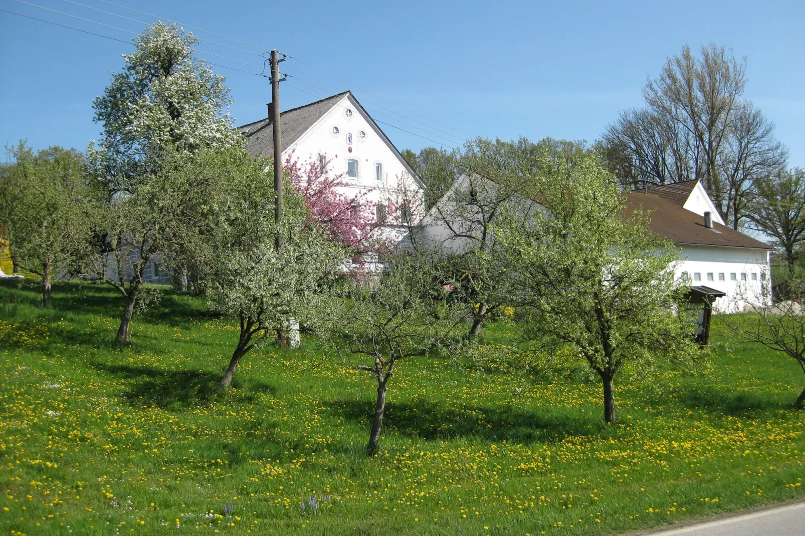 Am Ferienhof-Image-tags.