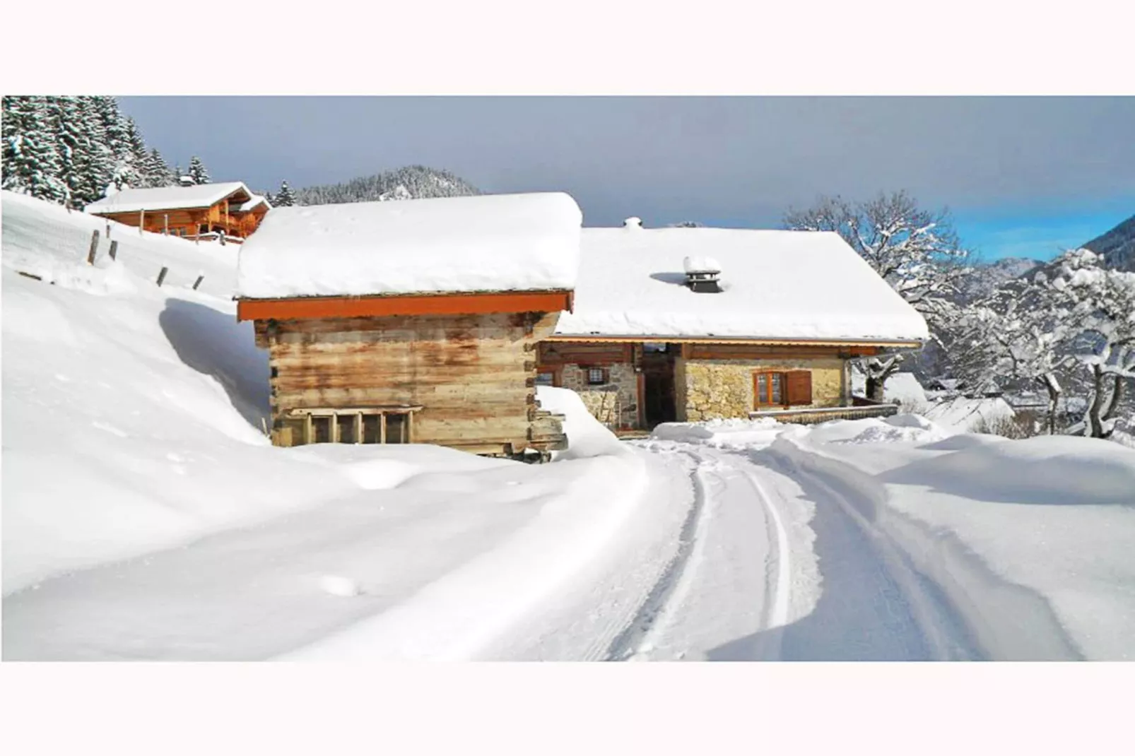 Chalet Petit Châtel-Sfeer