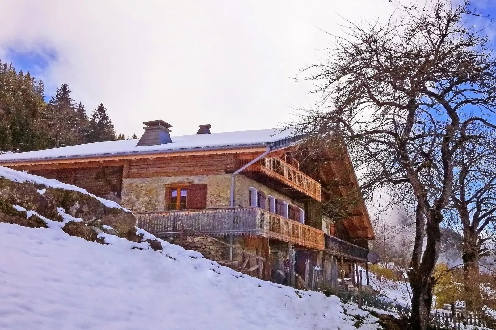 Chalet Petit Châtel-Sfeer