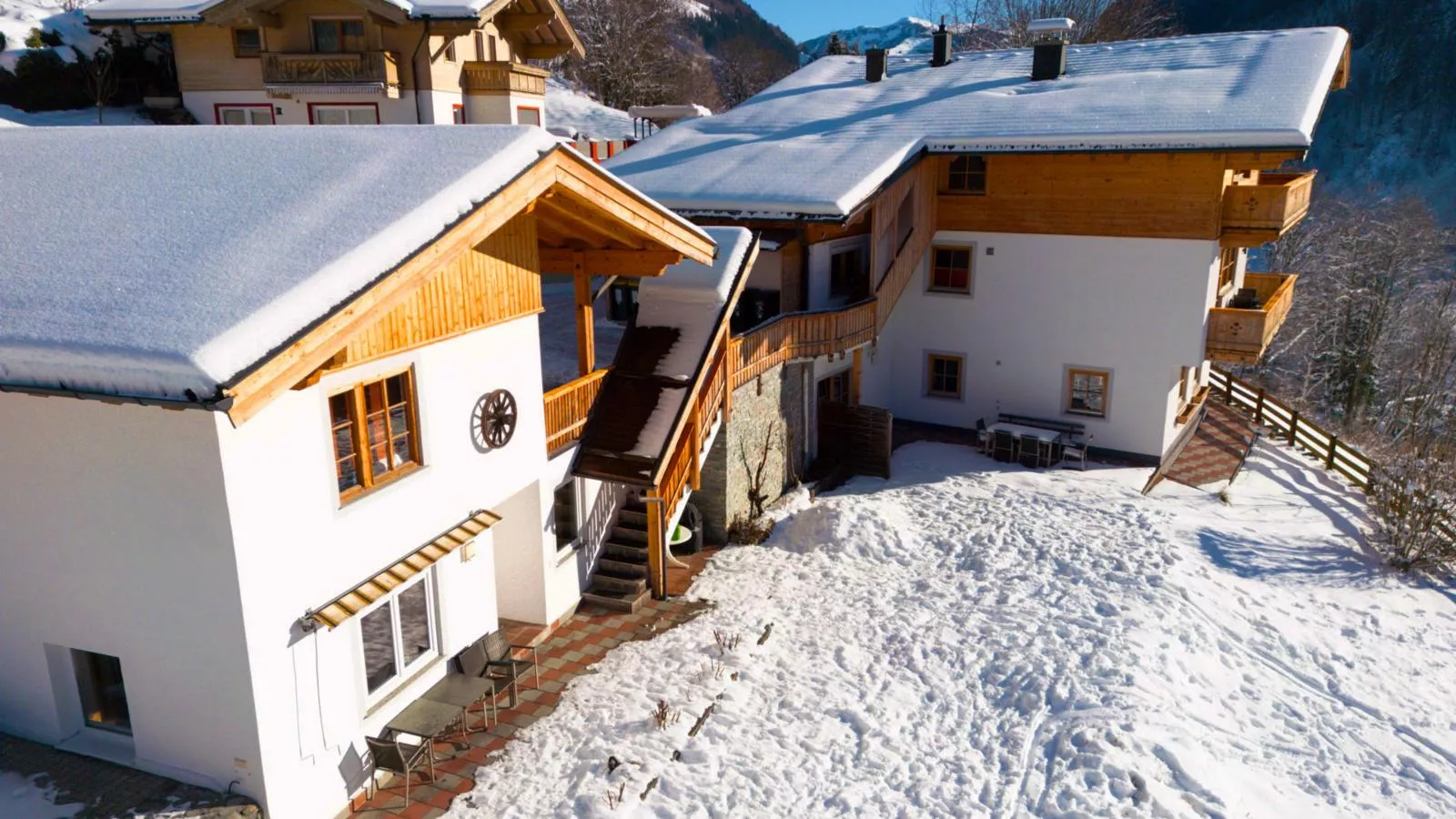 Alpensteinbock Saalbach L-Exterieur winter