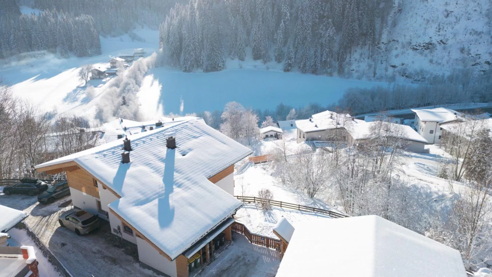 Alpensteinbock Saalbach L-Exterieur winter