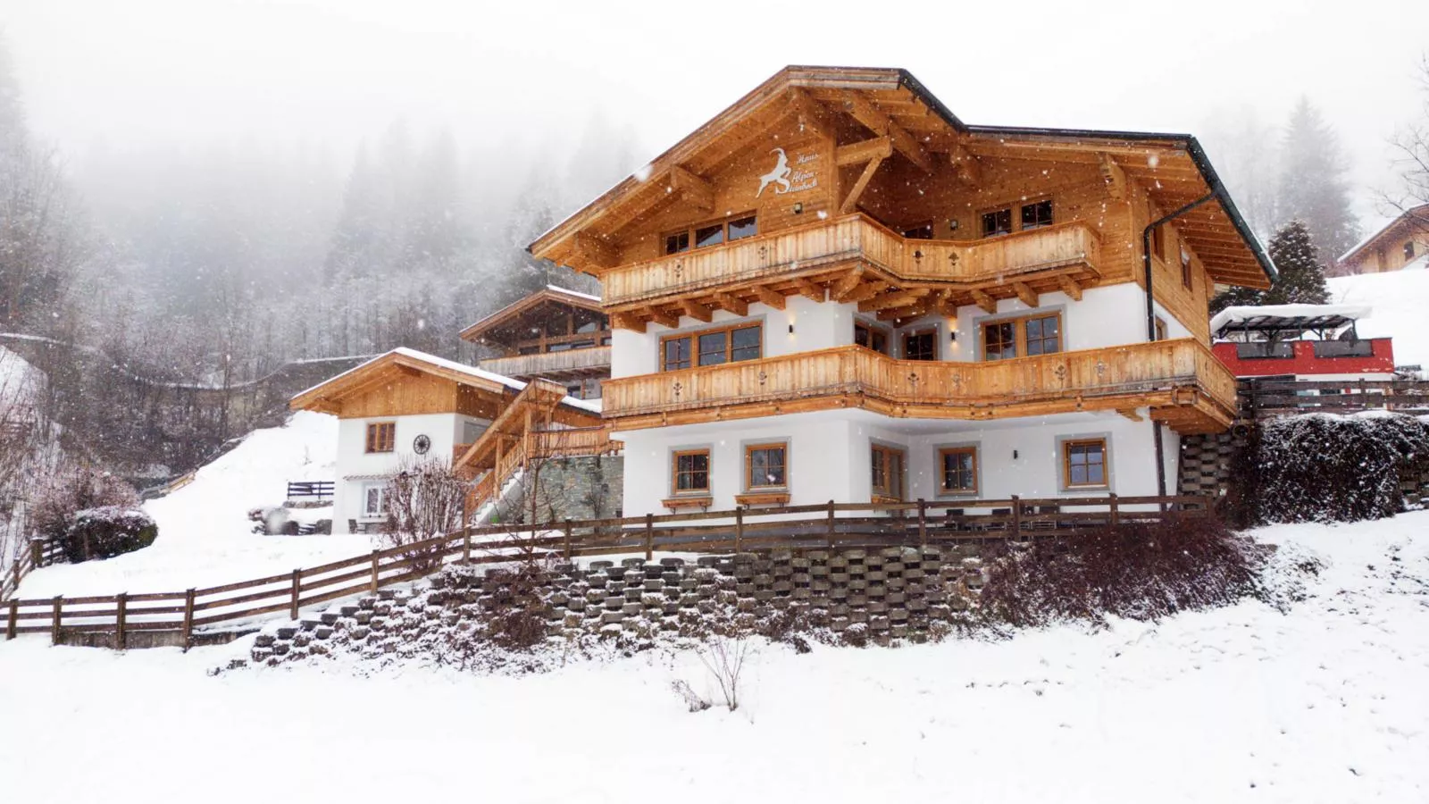 Alpensteinbock Saalbach L-Exterieur winter