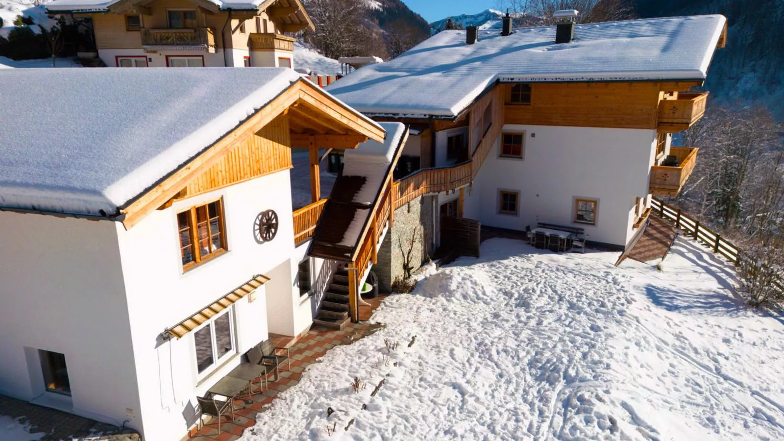 Alpensteinbock Saalbach C-Exterieur winter