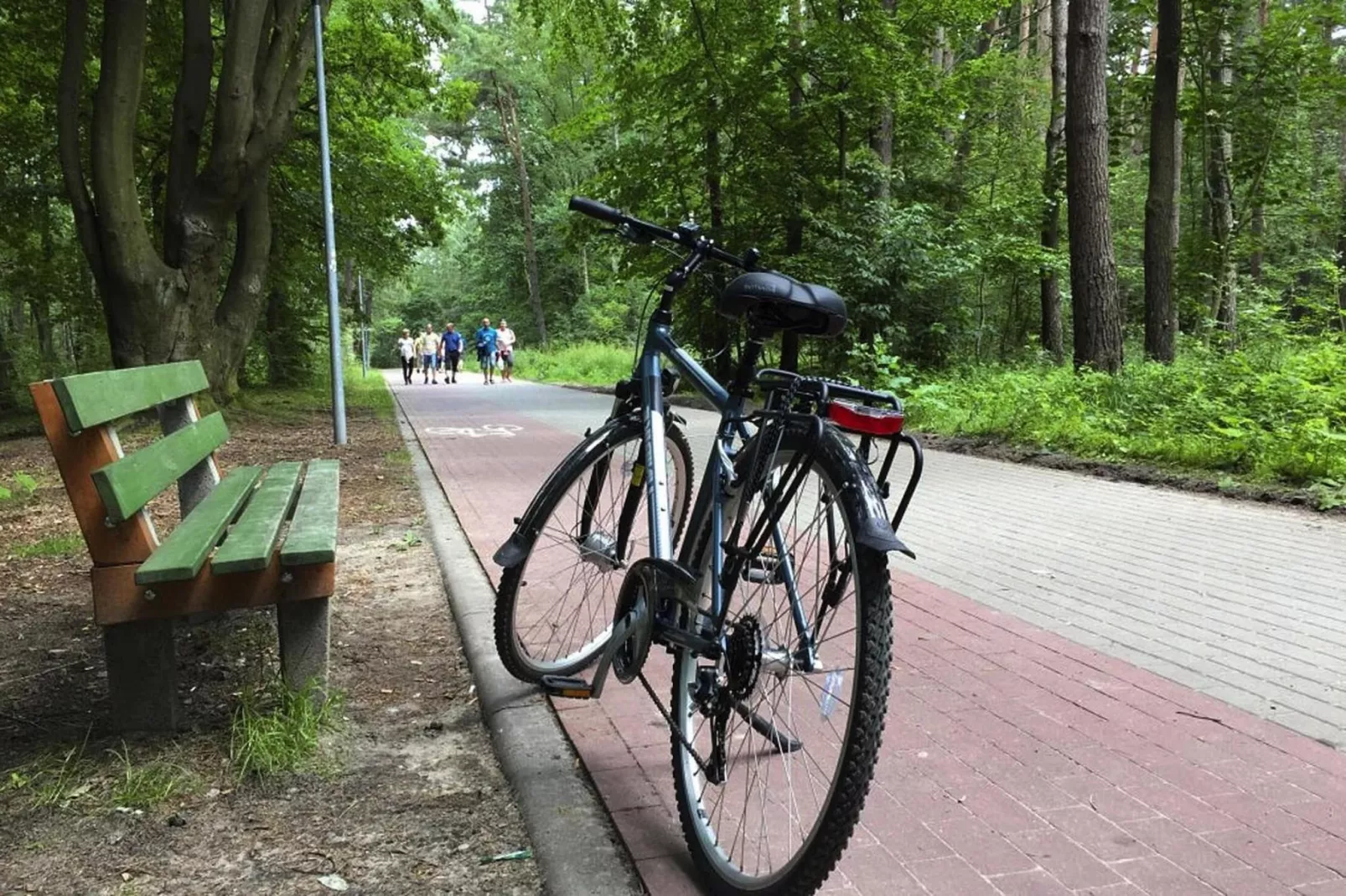 Domki wakacyjne BAJKA Przewłoka-Gebieden zomer 1km