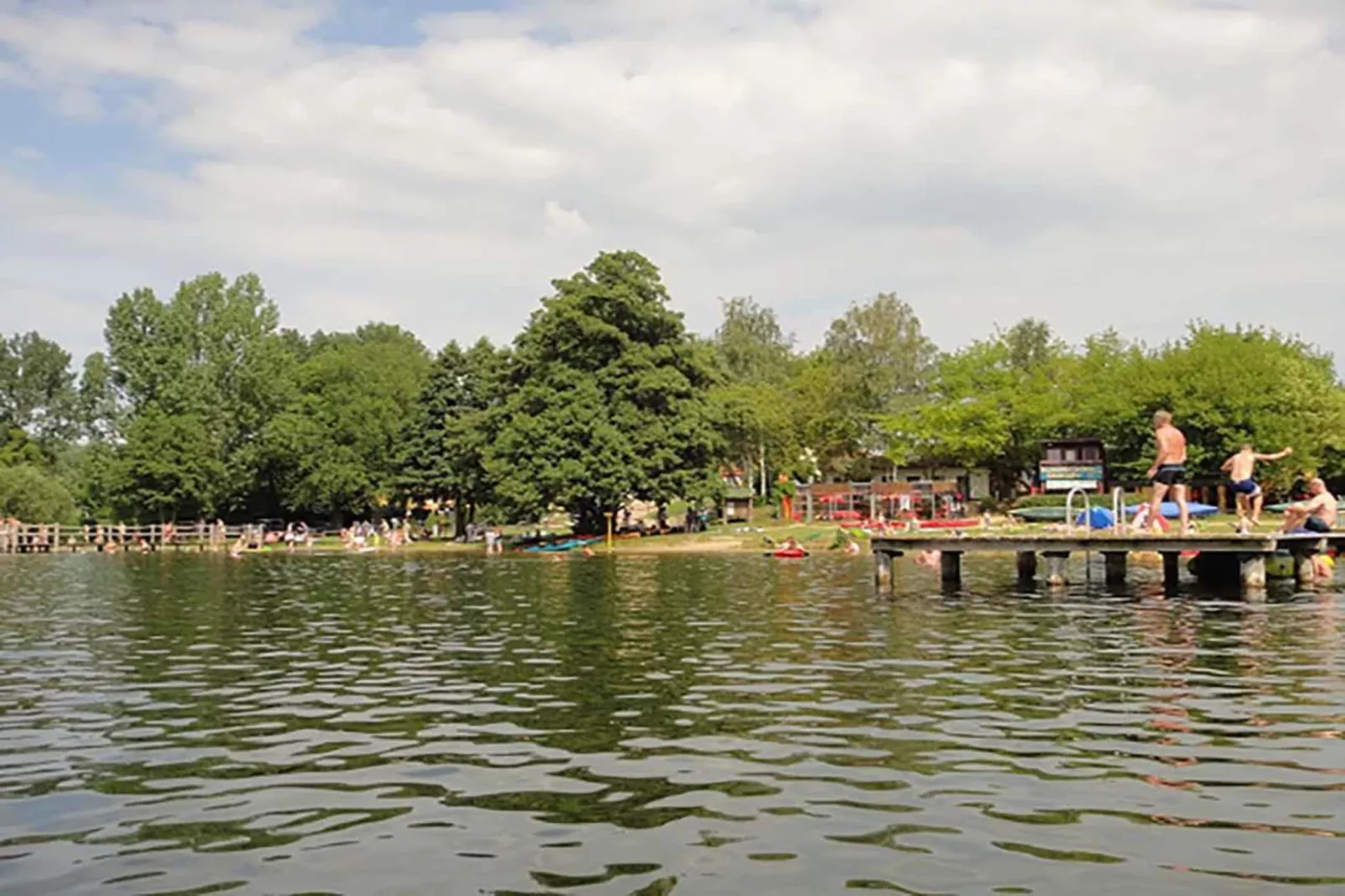 FH Seeschwalbe 147-Gebieden zomer 1km