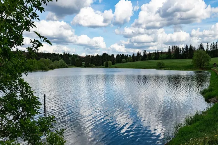 Lodge-Gebieden zomer 1km