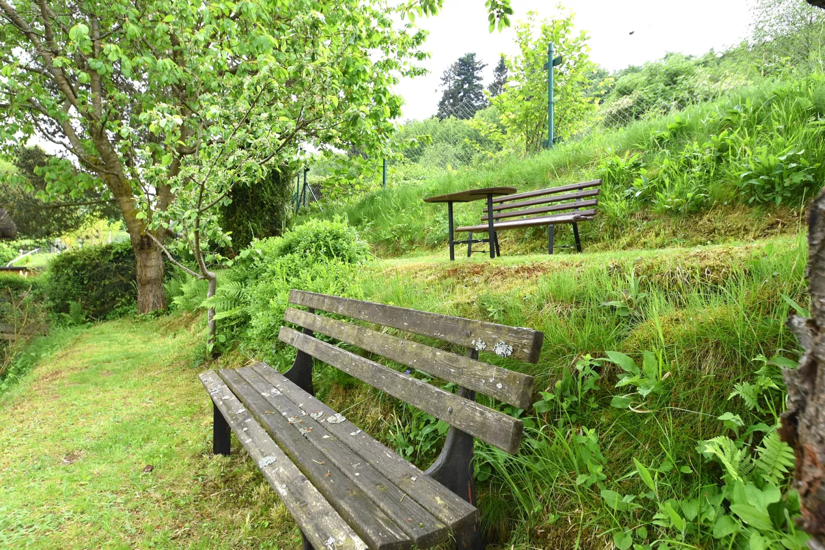 Am Heidelberg-Tuinen zomer