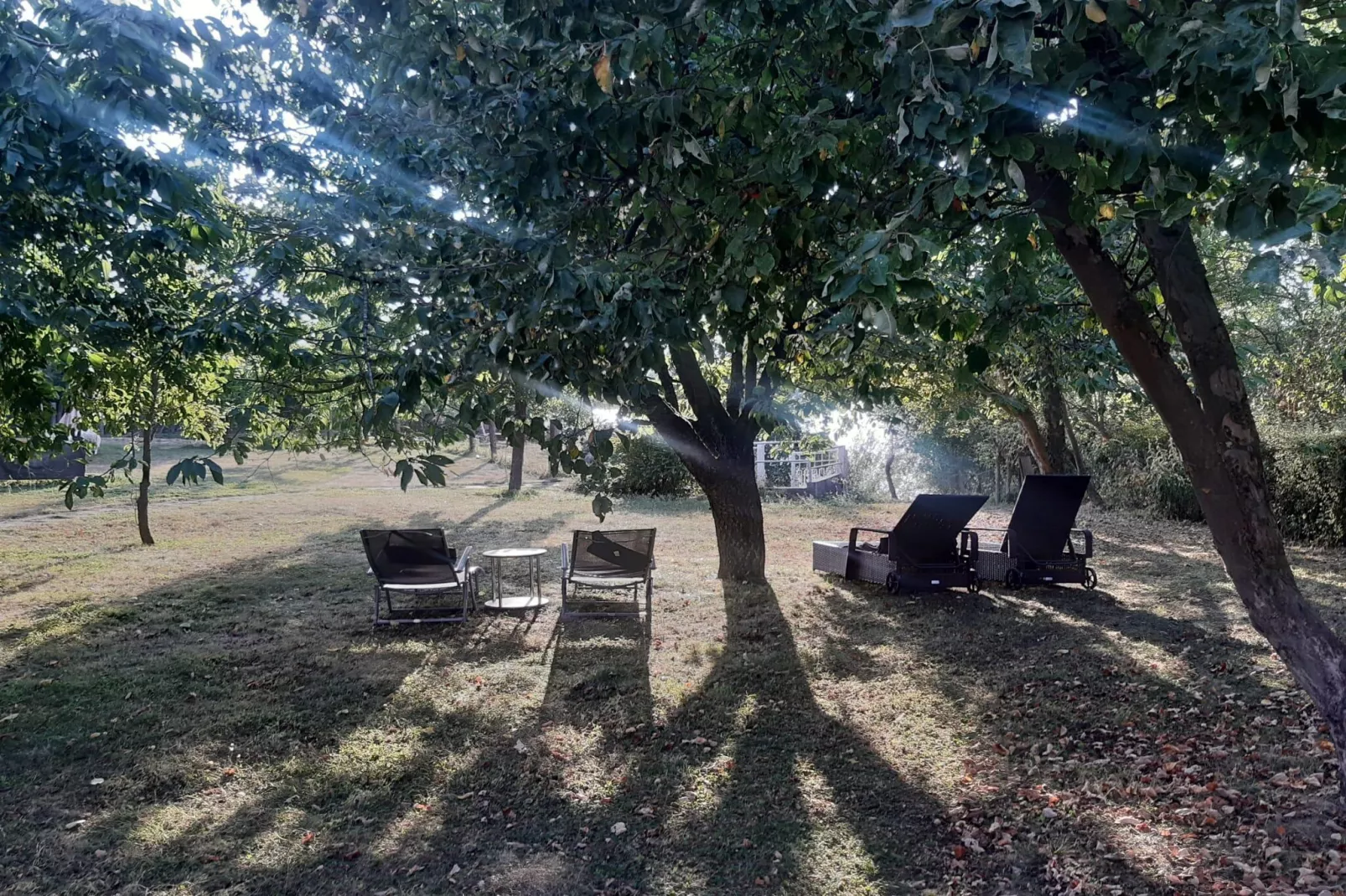 Ferienhaus am großen See-Tuinen zomer