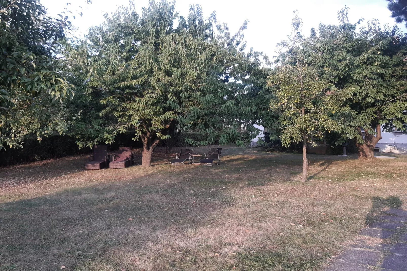 Ferienhaus am großen See-Tuinen zomer