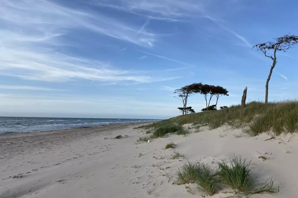 37877-Gebieden zomer 5km