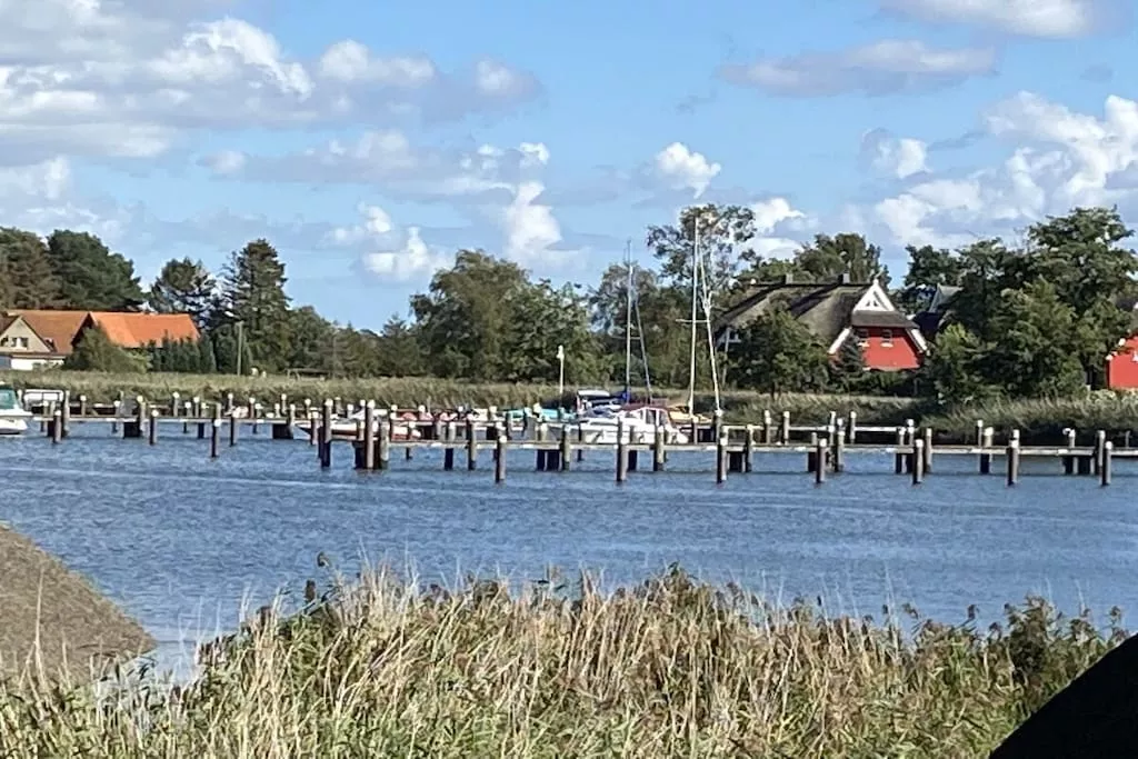 37877-Gebieden zomer 5km