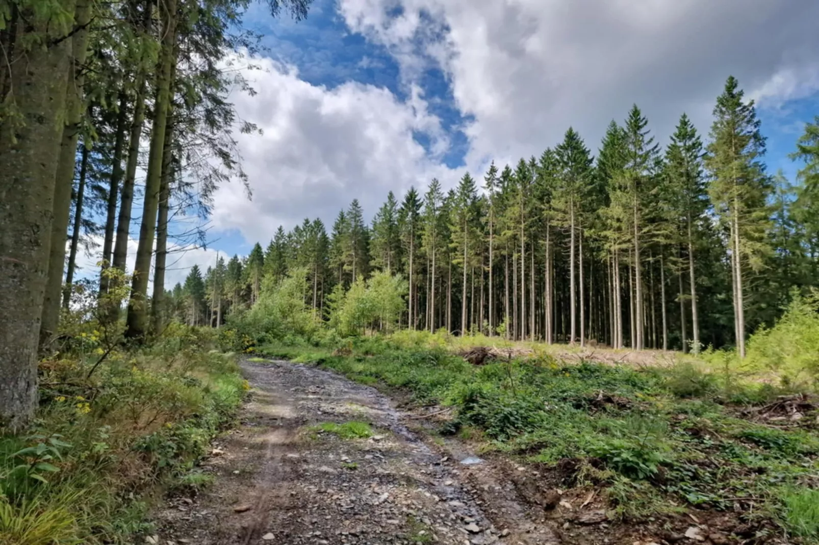 Holiday home for 8 peoples-Gebieden zomer 20km