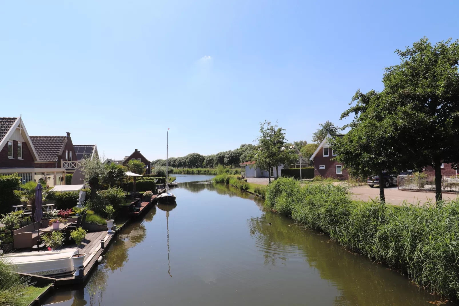 Standaard 303-Gebieden zomer 1km