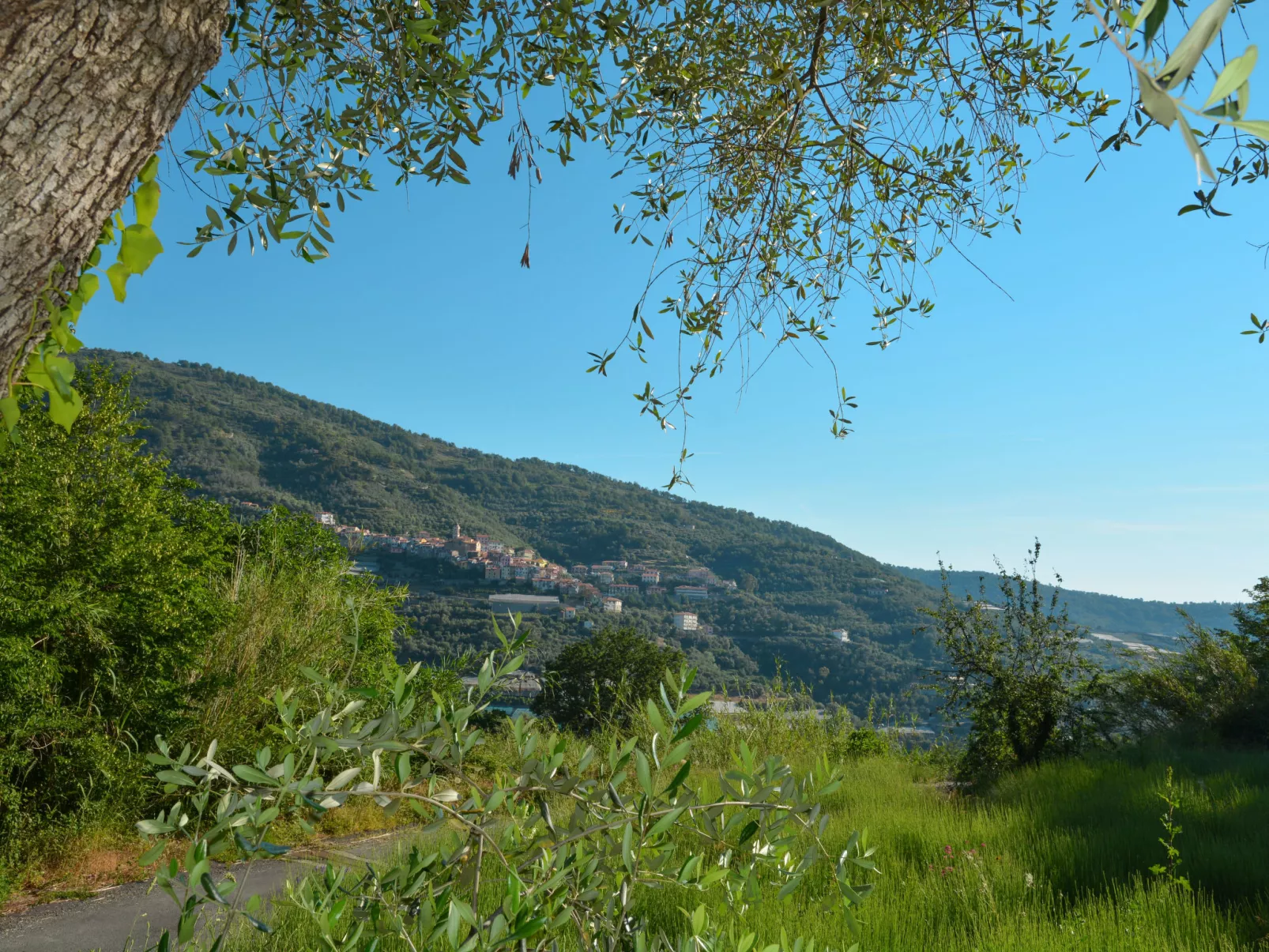 Casa Alfonso e Derna-Omgeving