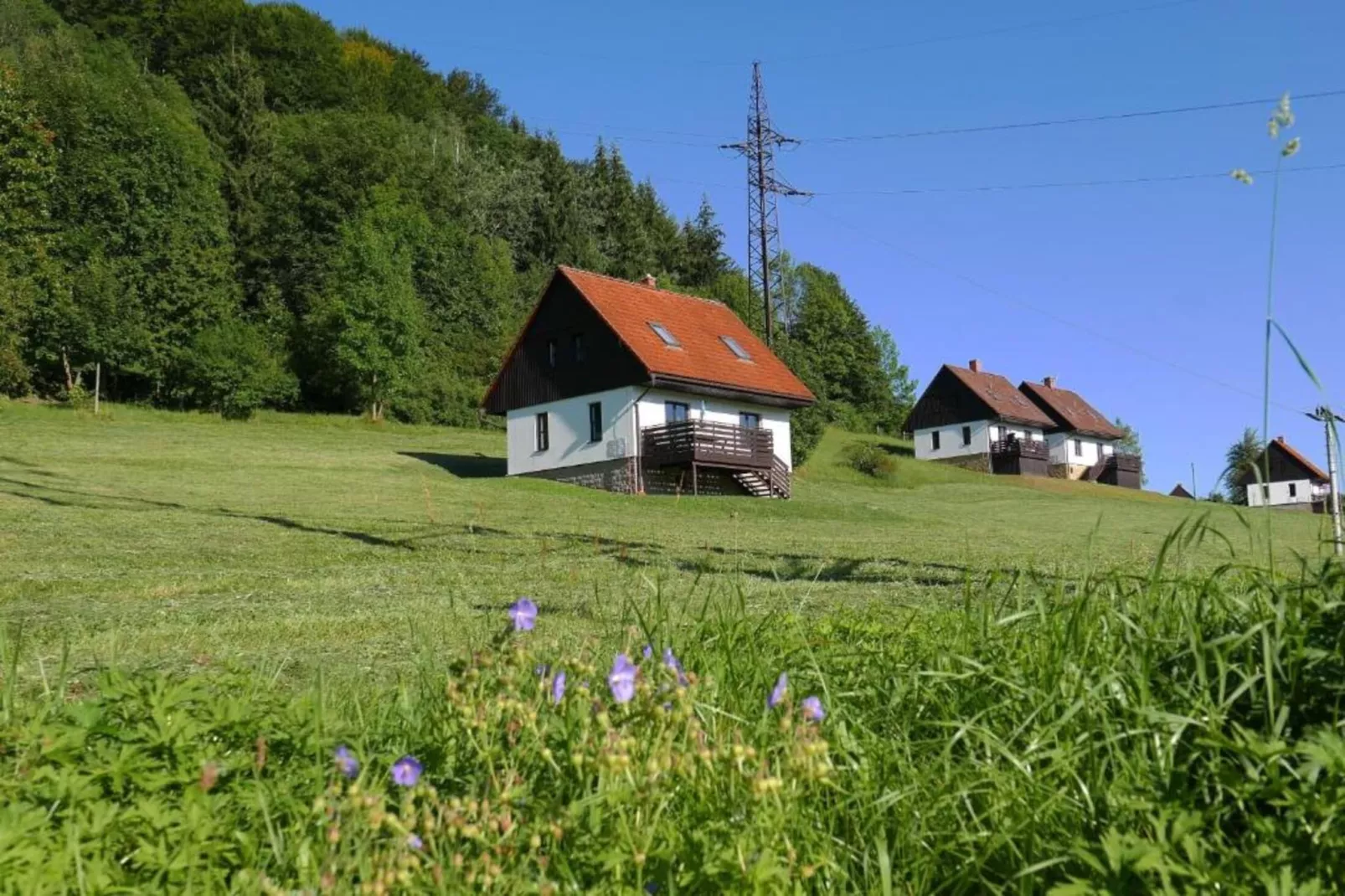 Green Valley Park 1-Buitenkant zomer